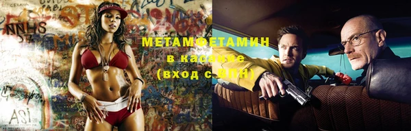 индика Михайловск
