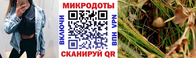 Галлюциногенные грибы MAGIC MUSHROOMS  купить наркотики сайты  Прокопьевск 